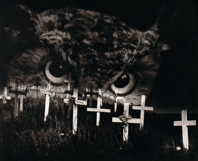 A black and white collage with an image of an owl looming over white crosses planted in the ground