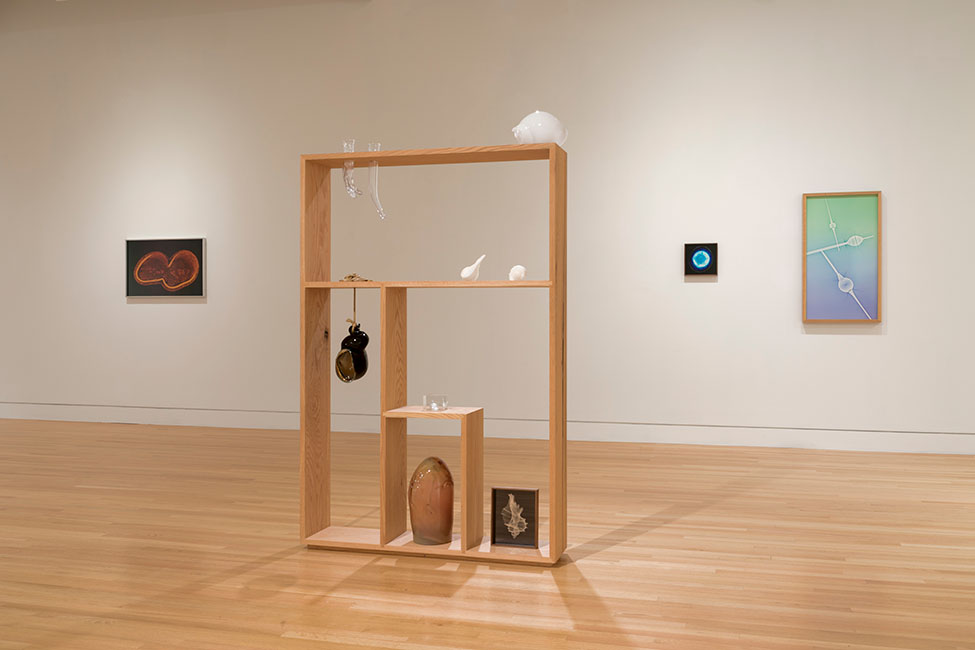 A view of artwork in Kelly Akashi: Formations at the Frye