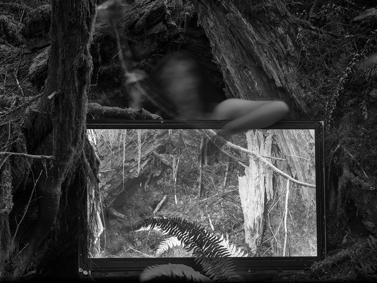 A black and white image of a blurry person in a dark, wooded landscape holding a bright LCD screen displaying a similarly natural area