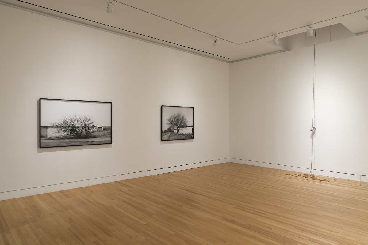 Museum gallery with two photographs and one sculpture of a metal hand hanging from a rope suspended from the ceiling
