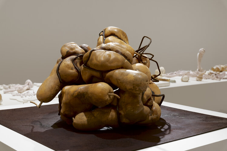 Rob Rhee. Untitled, 2019. 