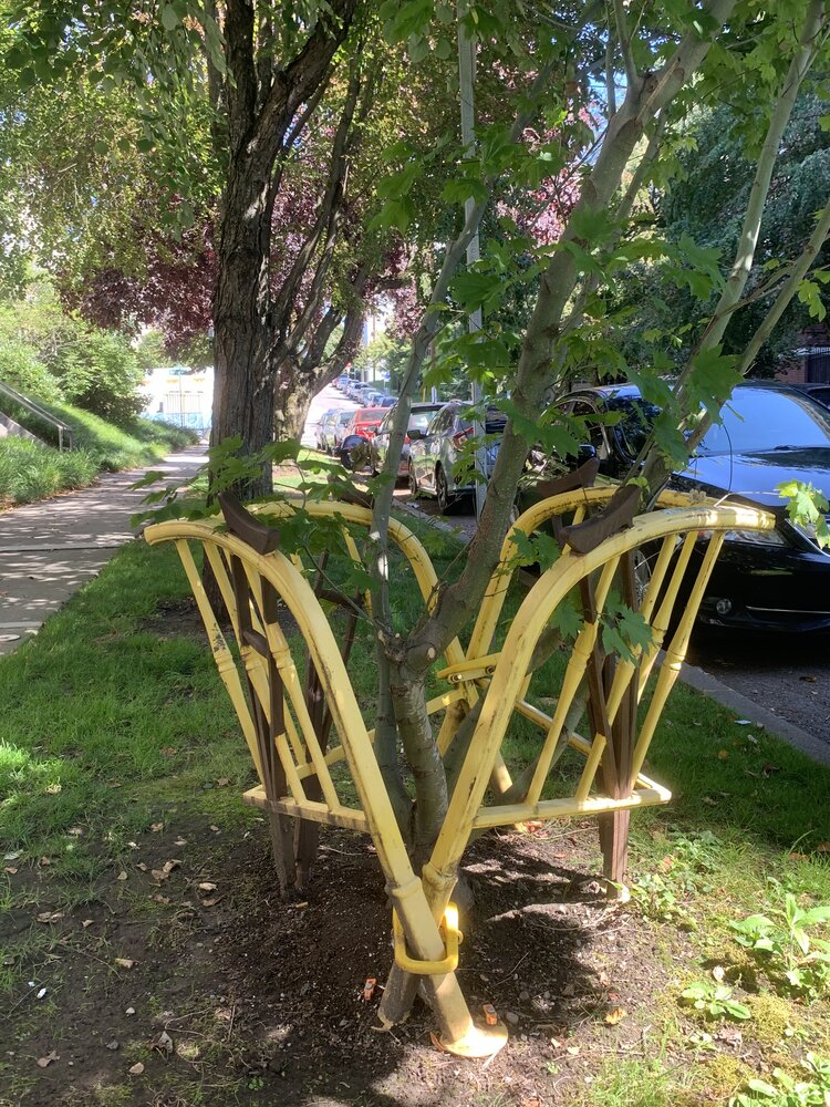Buster Simpson. Tree Guard, 1978/2013. Powder-coated cast iron. 42 x 32 x32 in. Gift of the artist, 2013.13. Photo: Michelle Cheng