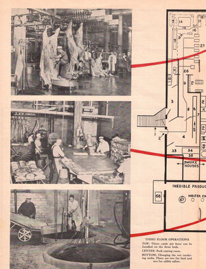 Handling Cut to a Minimum in Frye’s Modern Plant, 