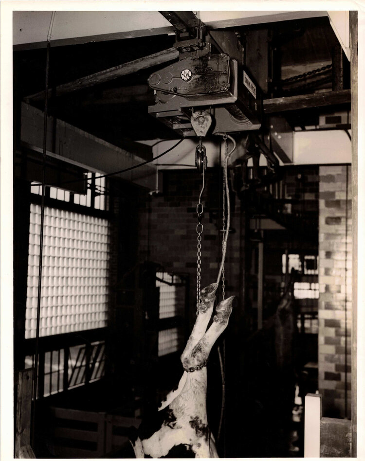 Meatpacking operations, Frye & Company, ca. 1945. Frye Art Museum Archives