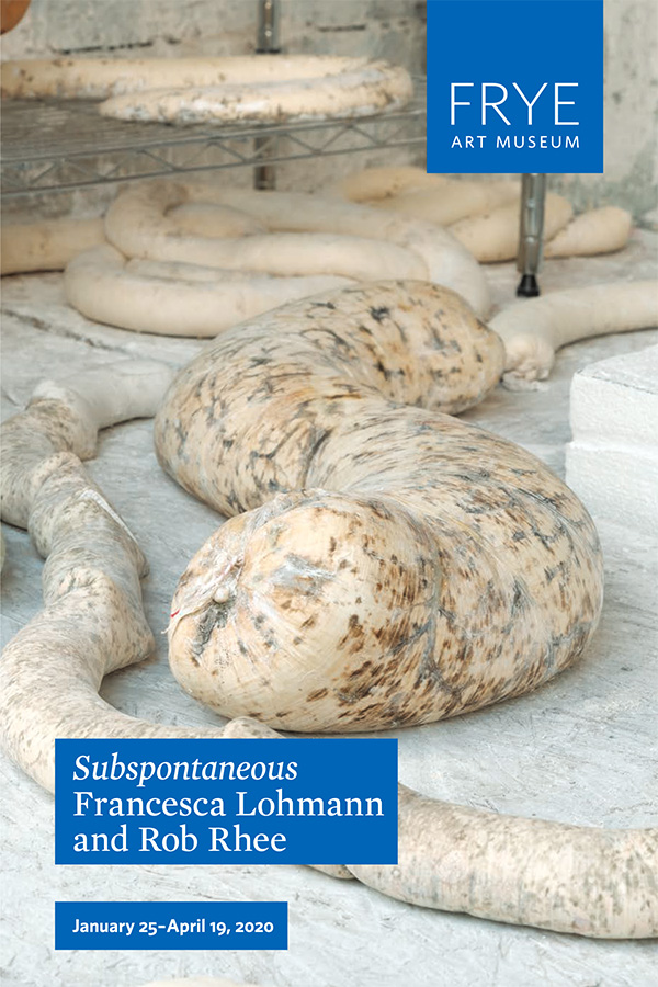 Exhibition brochure cover with soft sculpture