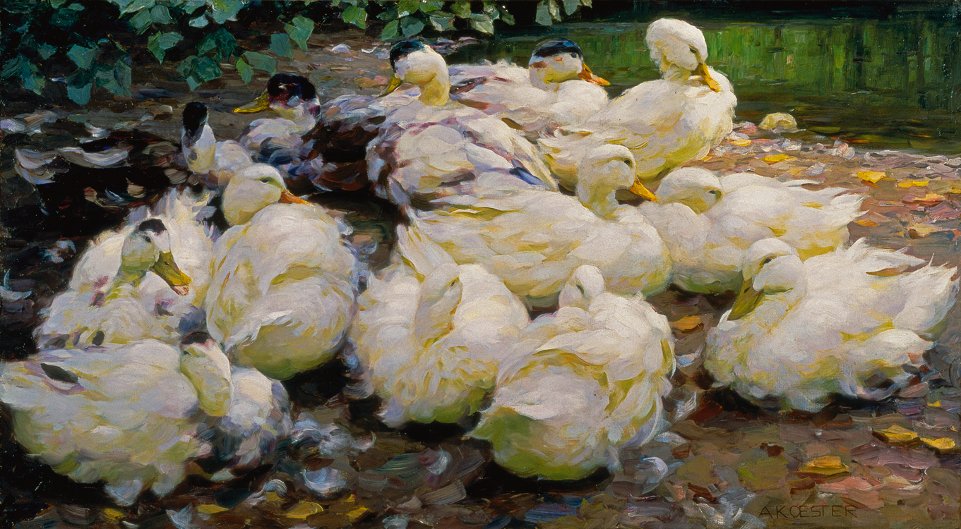 Alexander Max Koester. Moulting Ducks, ca. 1900. Oil on canvas. 28 3/8 x 51 3/8 in. 