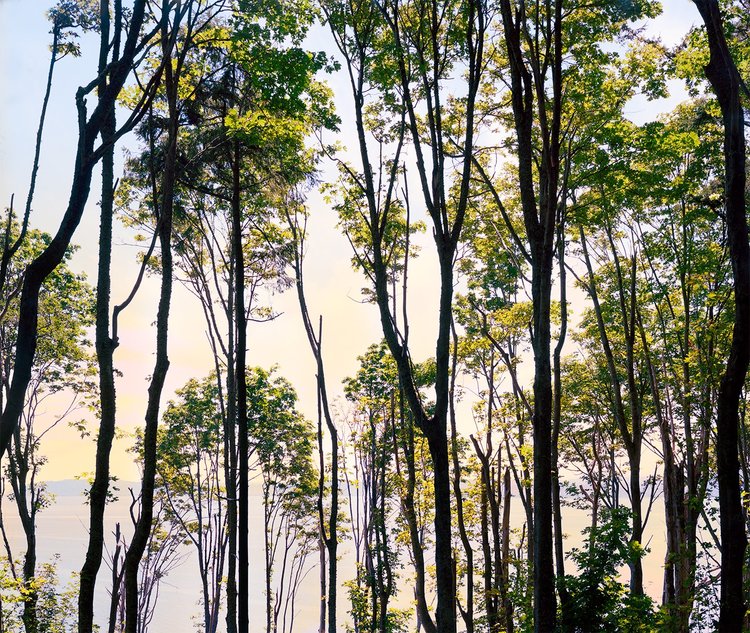 Discovery Park