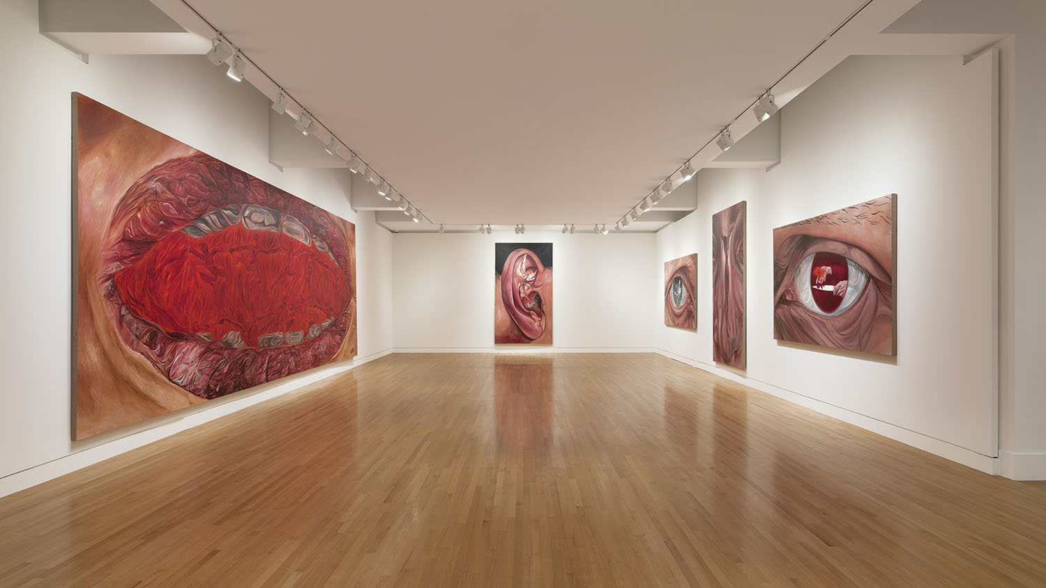 Museum gallery with five artworks and white walls