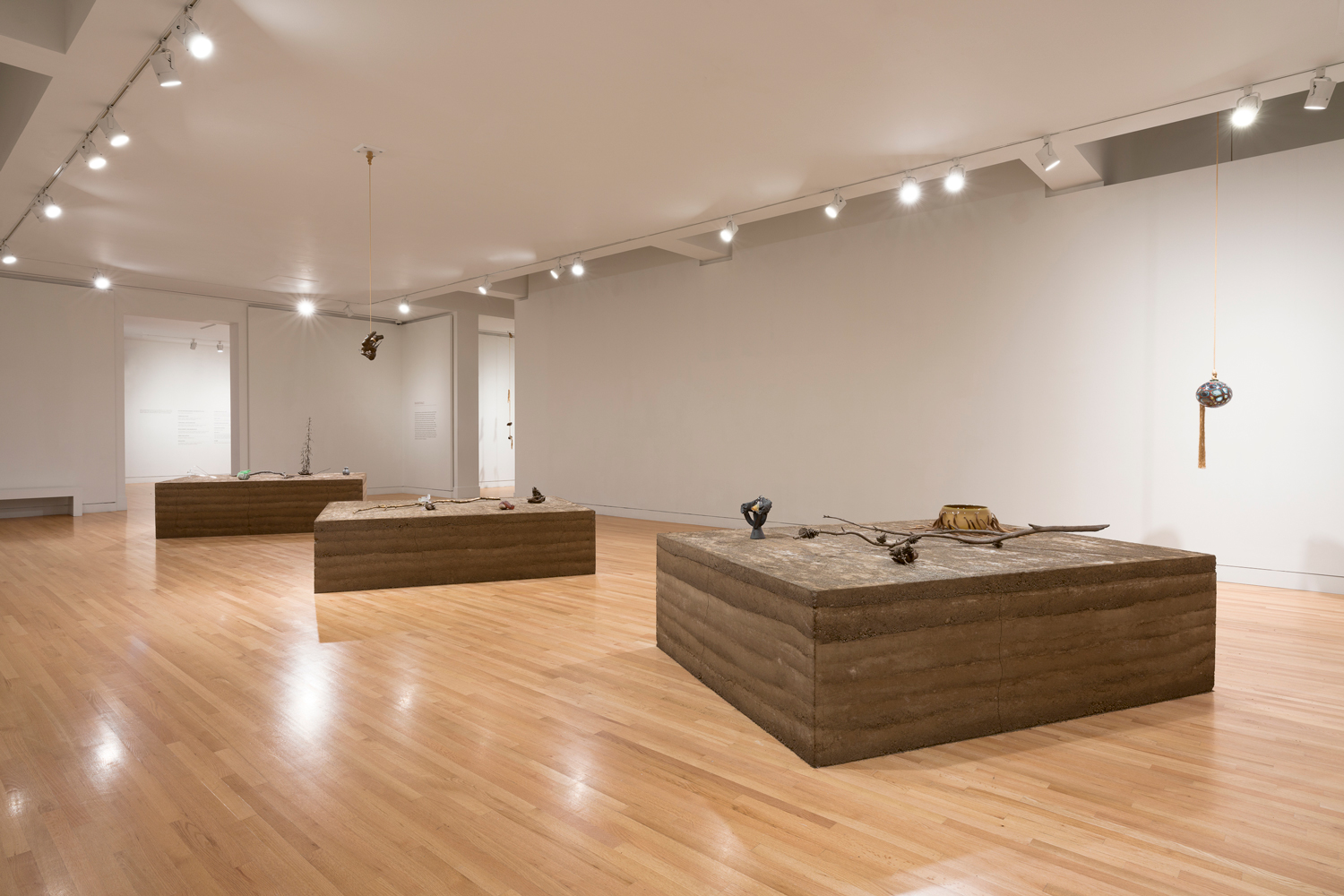 Photo of sculptural works of art by Kelly Akashi sitting on earthen pedestals in a white gallery