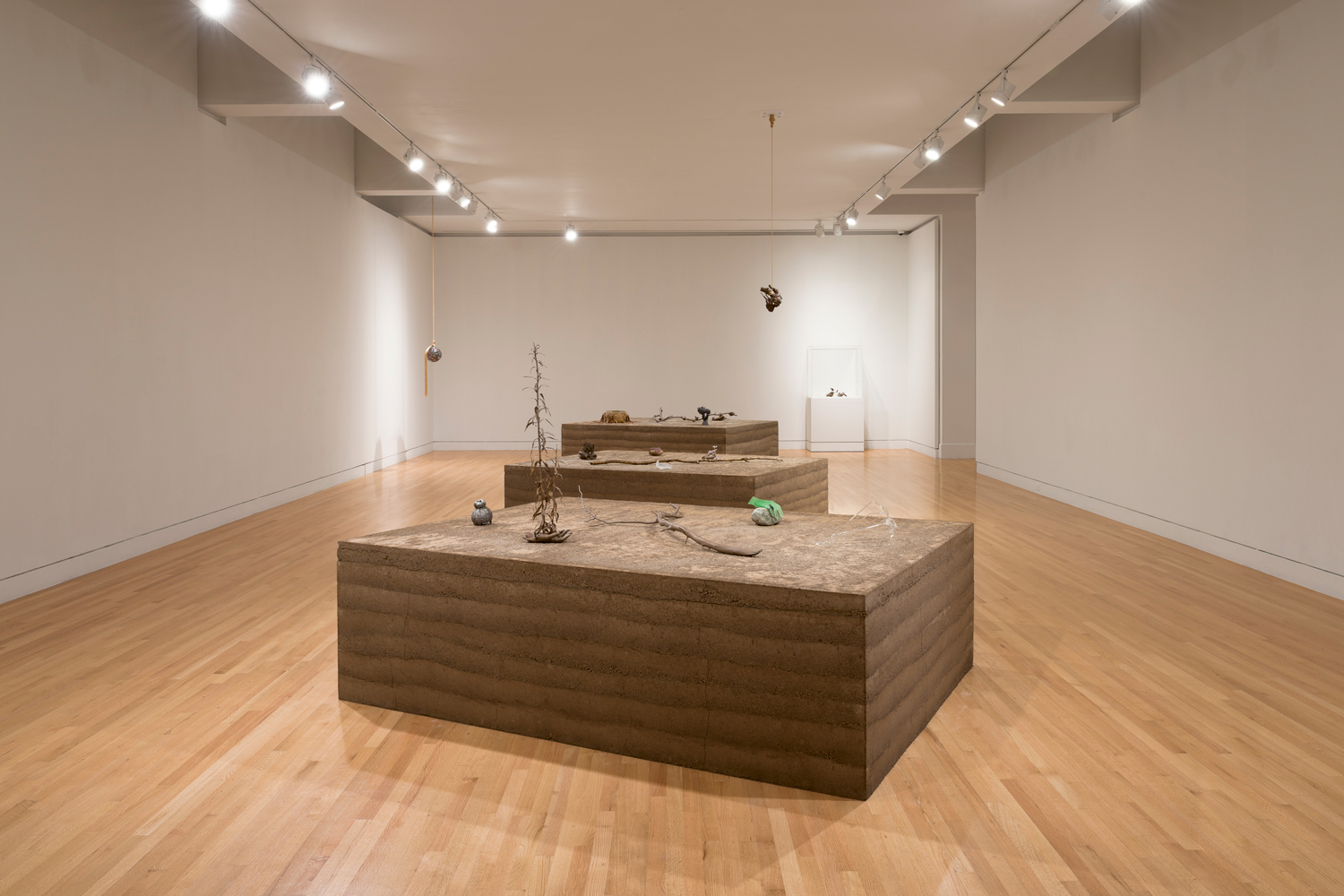 Photo of sculptural works of art by Kelly Akashi sitting on earthen pedestals in a white gallery
