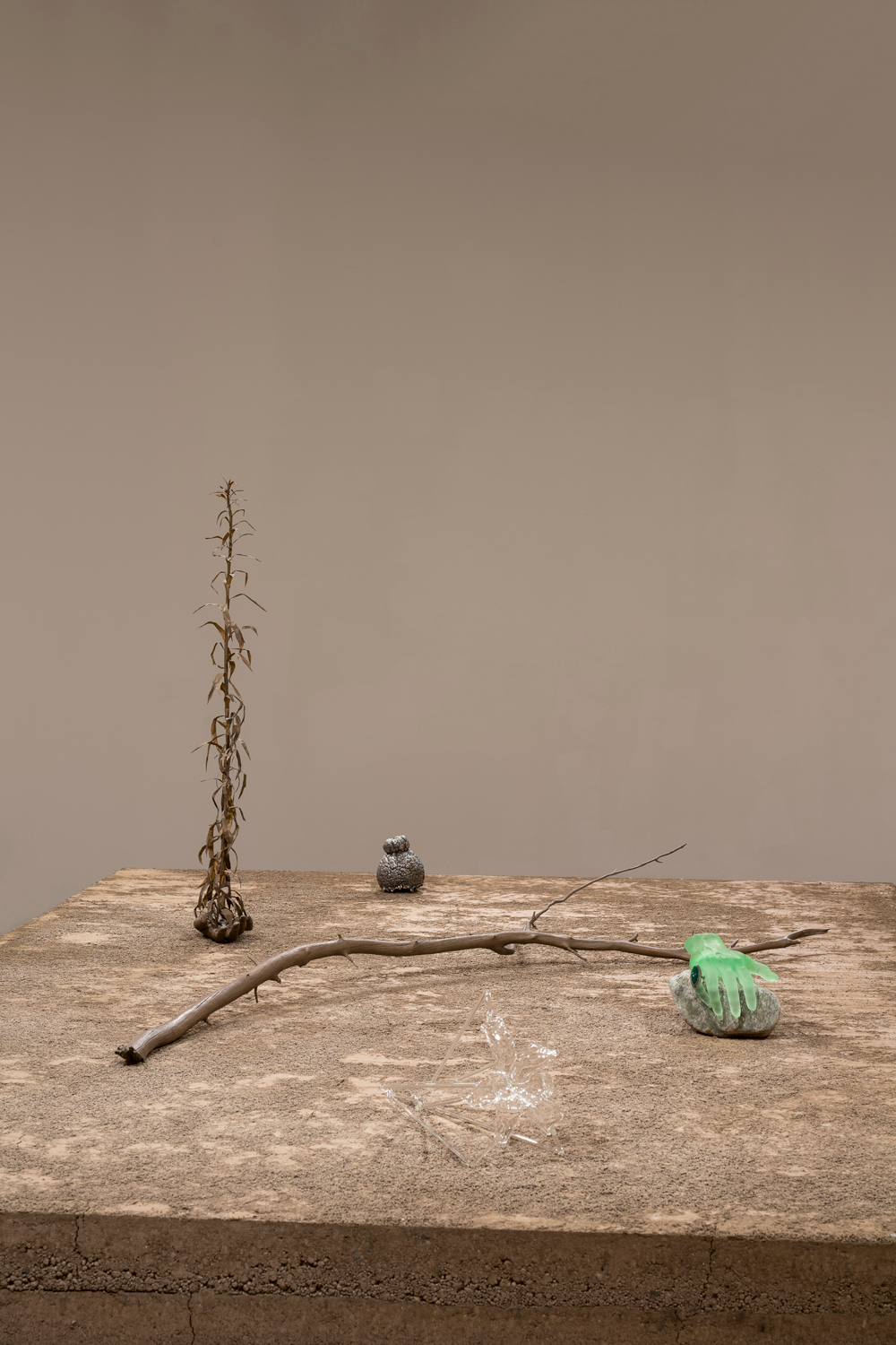 Photo of sculptural works of art by Kelly Akashi, including a cast bronze tree limb, sitting on a earthen pedestal