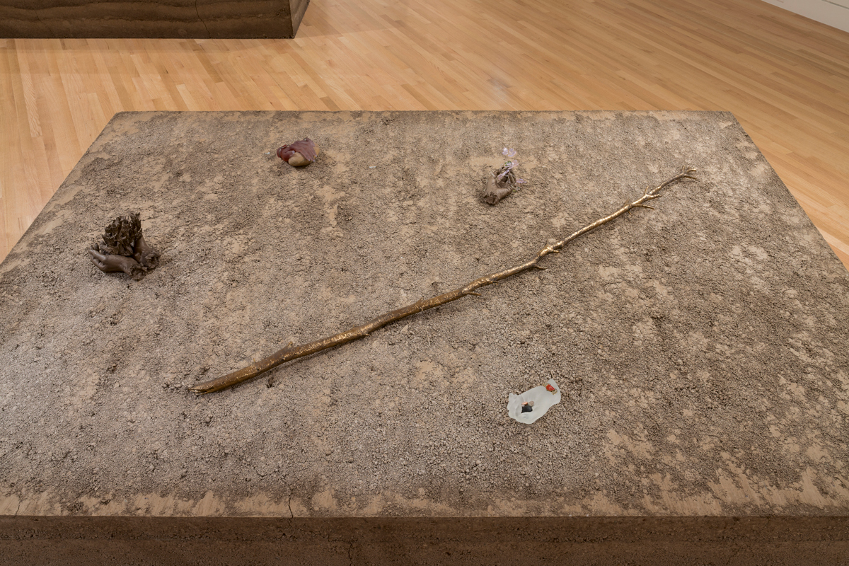 Photo of sculptural works of art by Kelly Akashi, including a cast bronze tree limb, sitting on a earthen pedestal