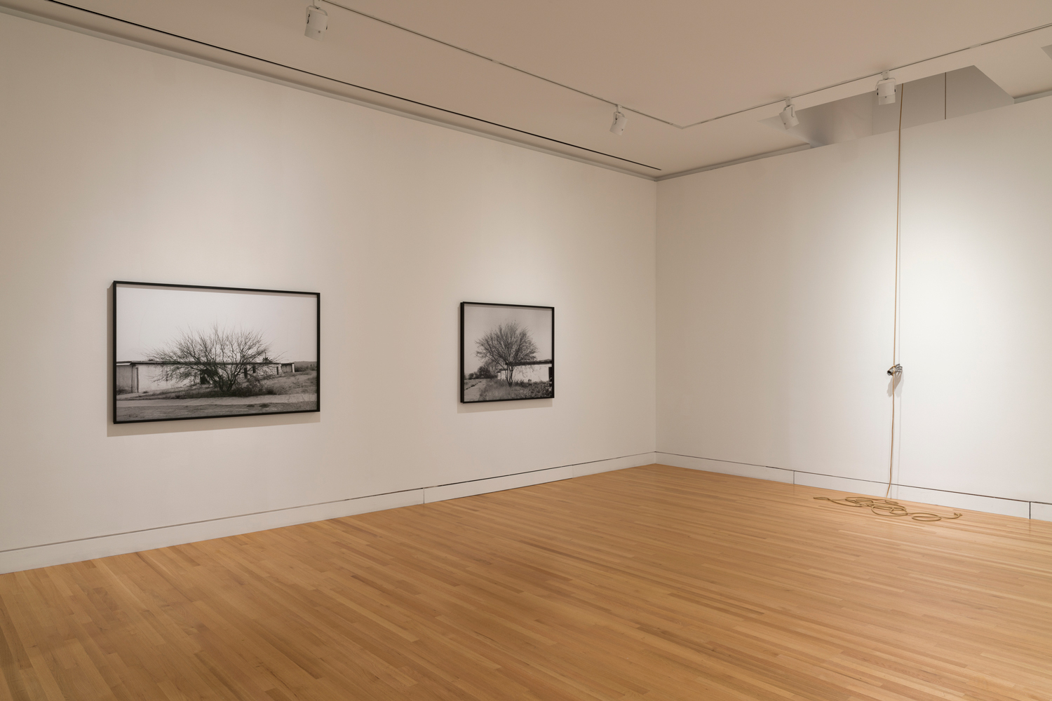 Photo of two photographs and one sculpture by Kelly Akashi