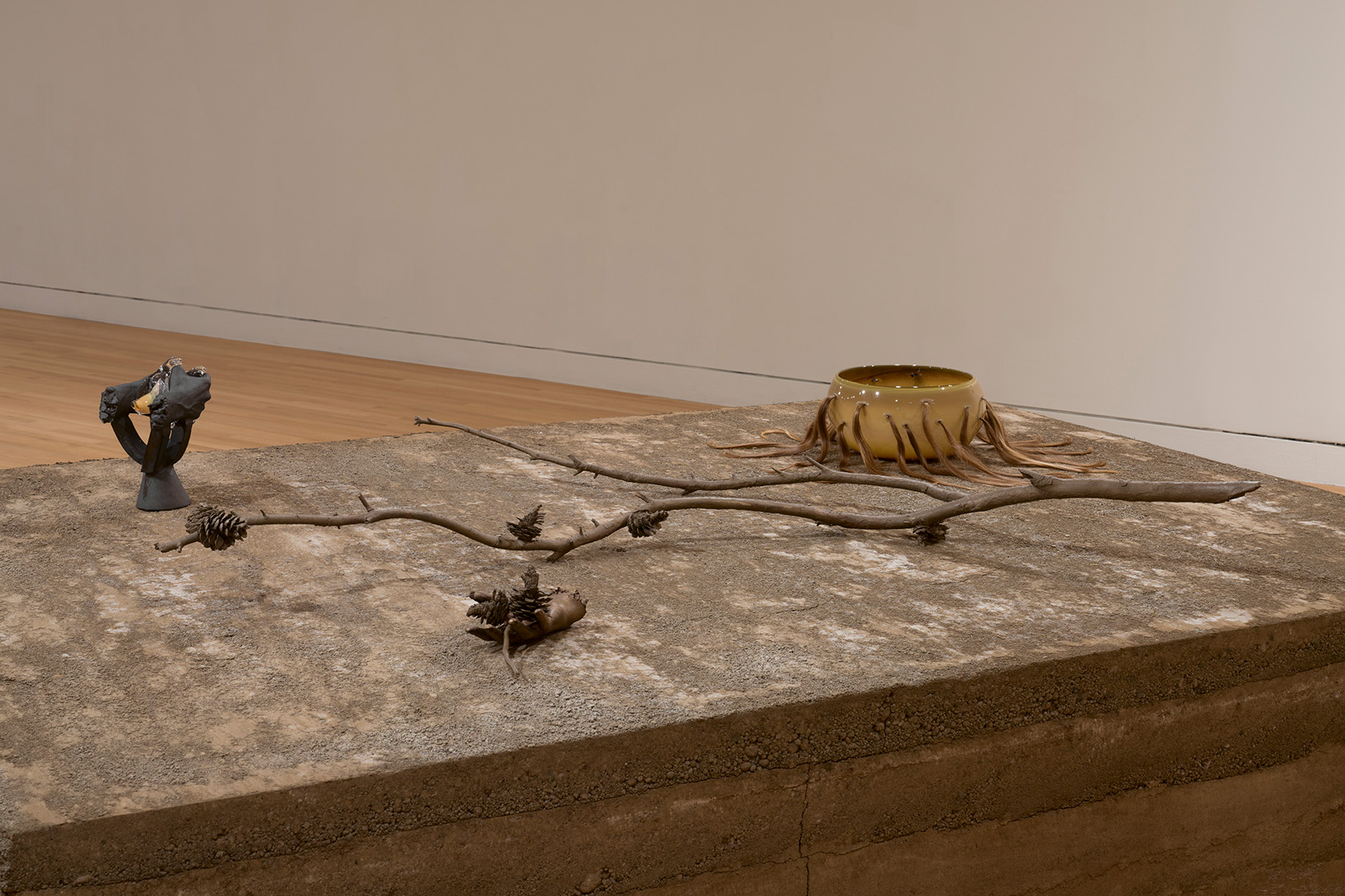 Installation view of Kelly Akashi: Formations