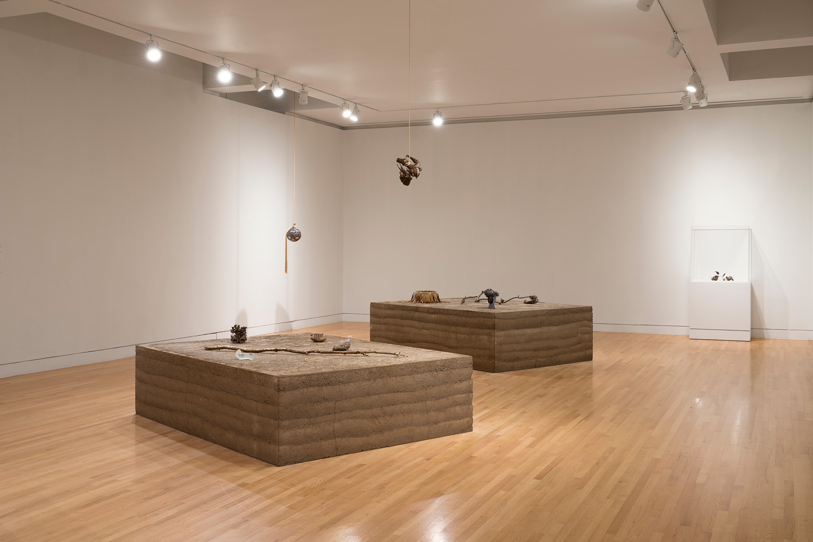 Installation view of Kelly Akashi: Formations, Frye Art Museum