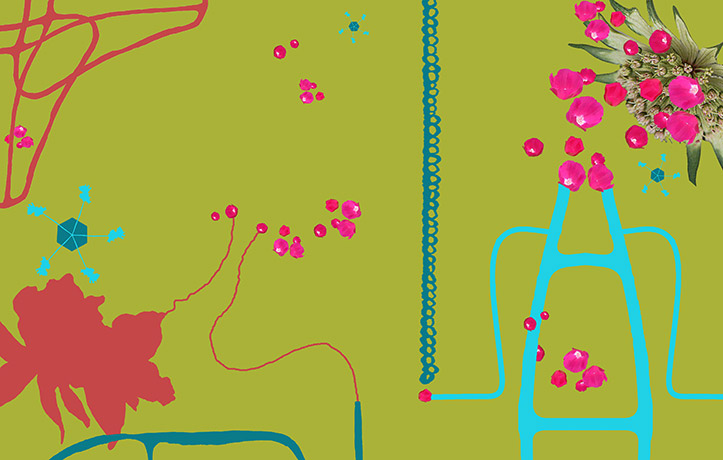 A flat green collage of color, graphics, and pictures of flowers and rocks