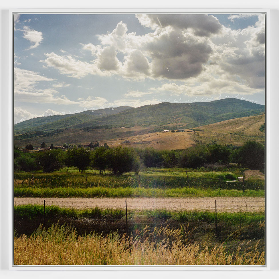 A photo of grassy hills in the sun