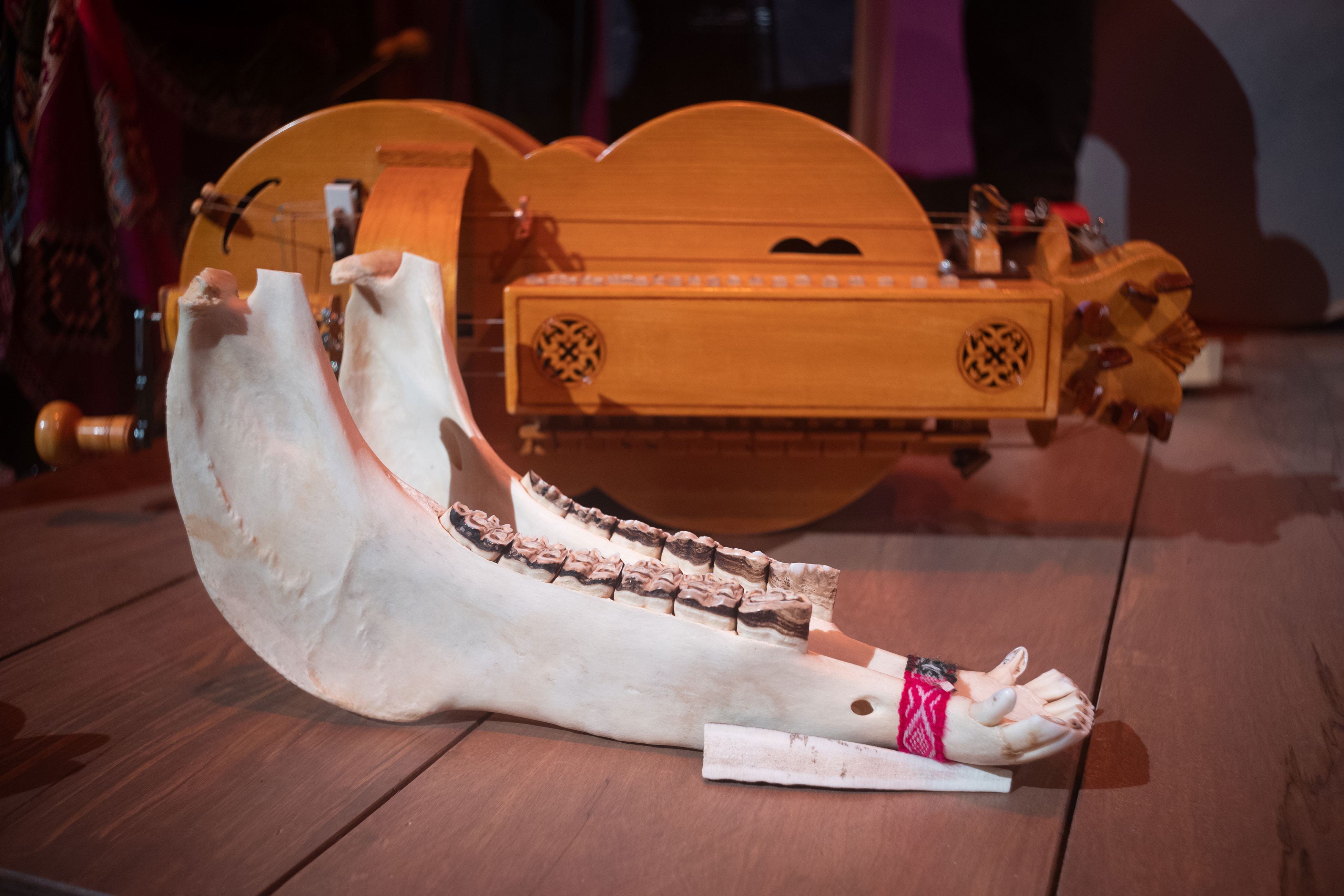 Zafona and quijada de burro laying on a wooden floor