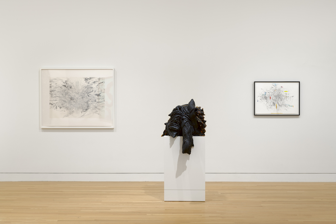 Black Refractions: Highlights from The Studio Museum in Harlem