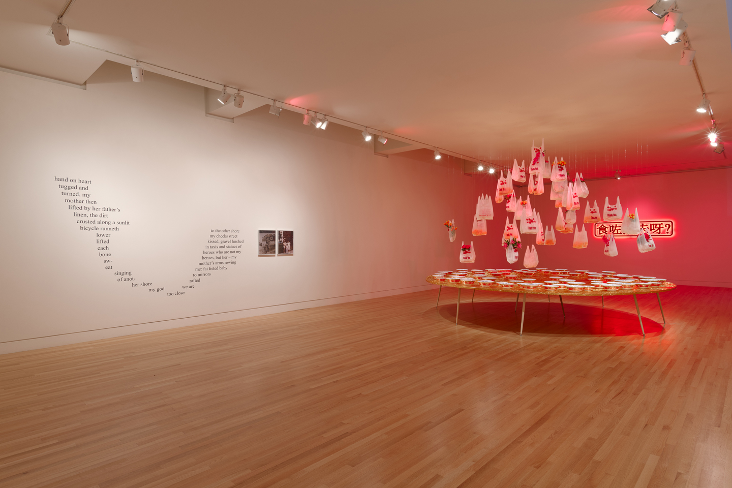 Jane Wong: After Preparing the Altar, the Ghosts Feast Feverishly installation view 