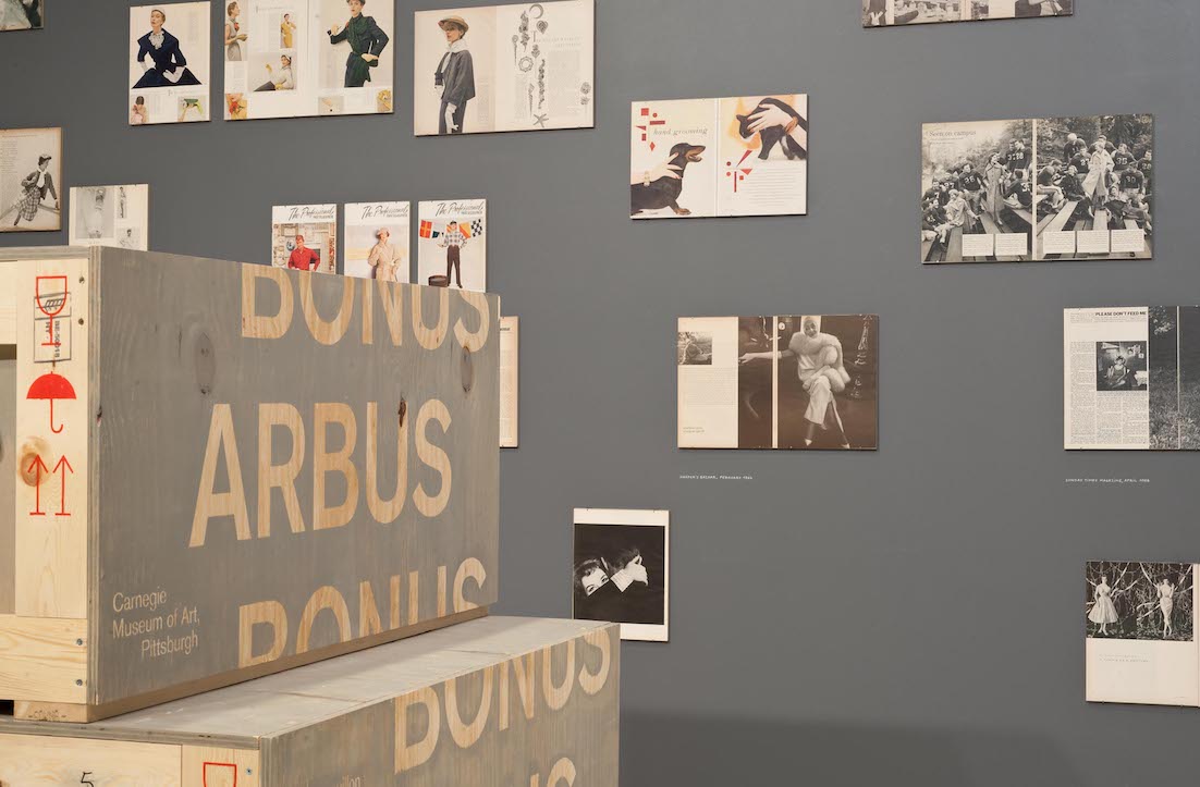 Pierre Leguillon: Arbus Bonus