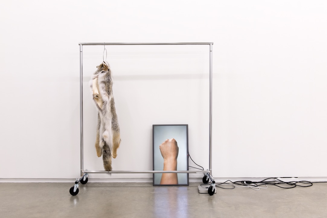 Duane Linklater: mymothersside