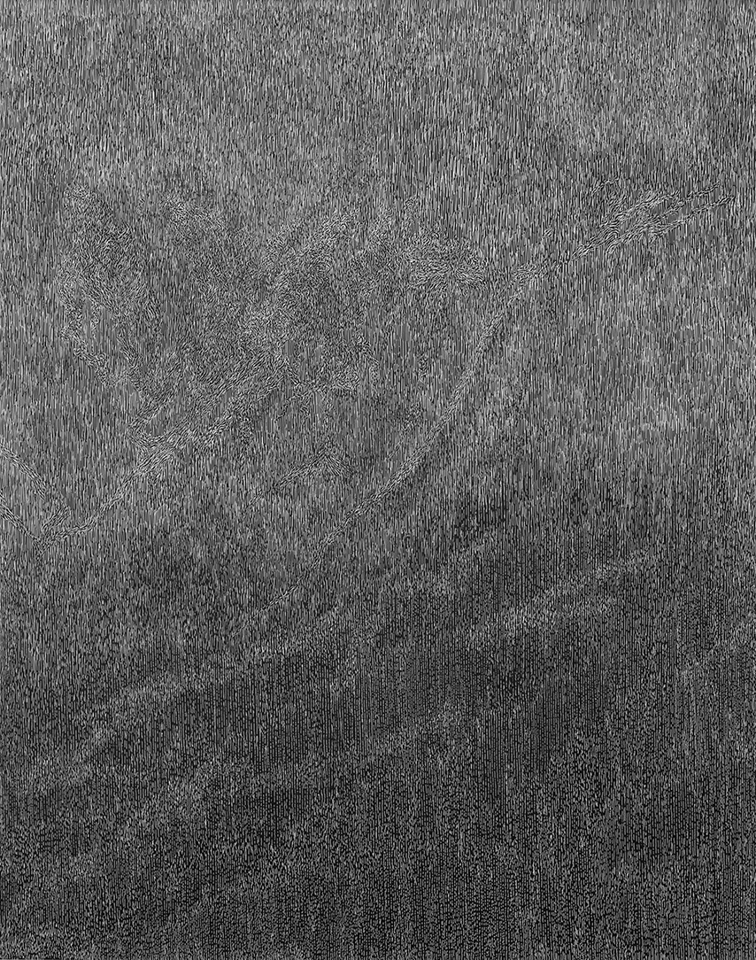 Mary Ann Peters. this trembling turf (the shadows), 2019. White ink on black clayboard. 60 x 48 in.