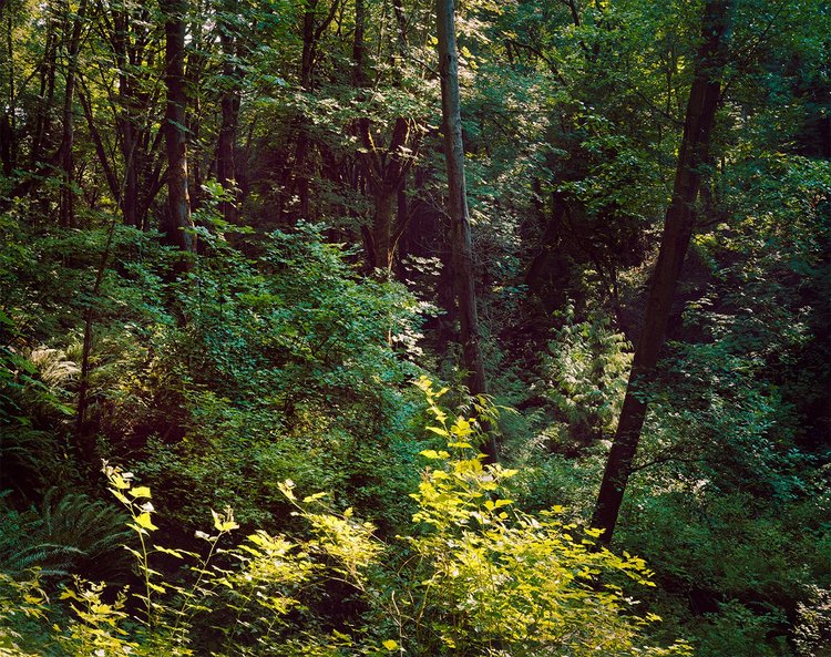 Saint Edward State Park