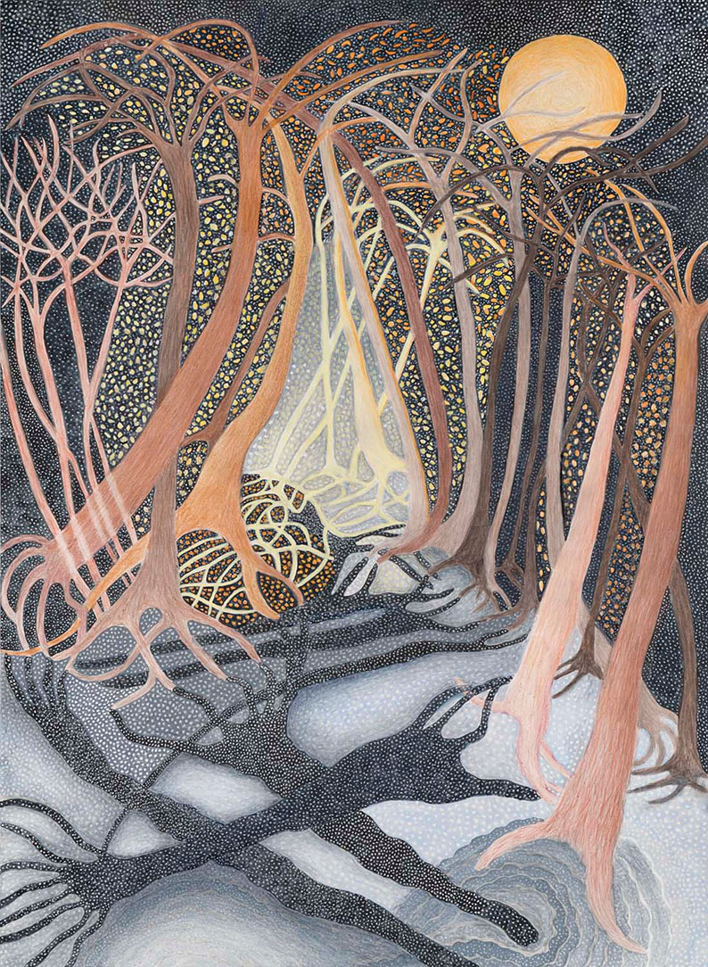 Ann Leda Shapiro. Night Forest, 2022.