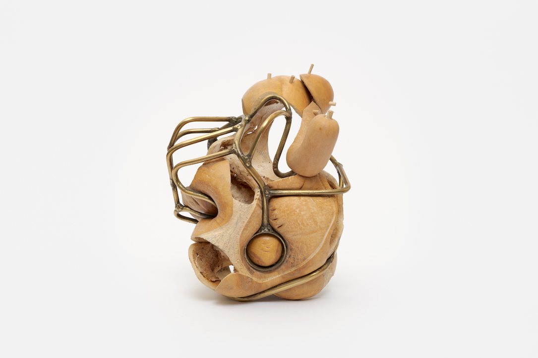 Subspontaneous: Francesca Lohmann and Rob Rhee