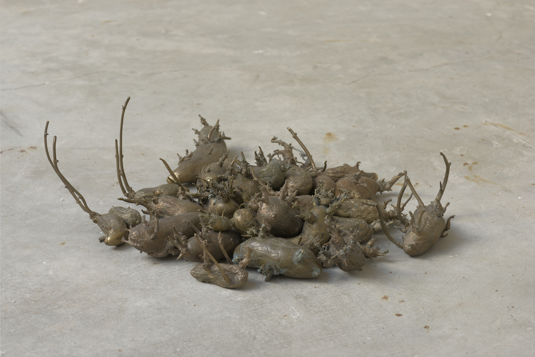 Subspontaneous: Francesca Lohmann and Rob Rhee