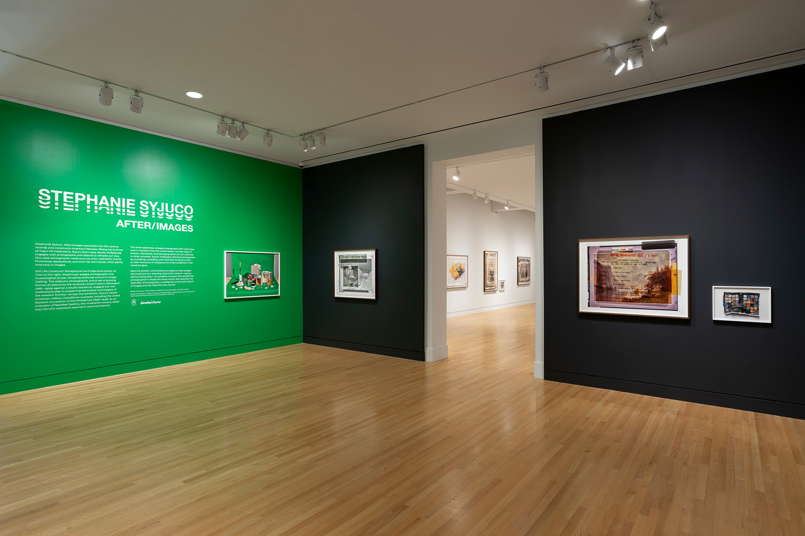 Photo of a green wall with Stephanie Syjuco: After/Images exhibition title and text