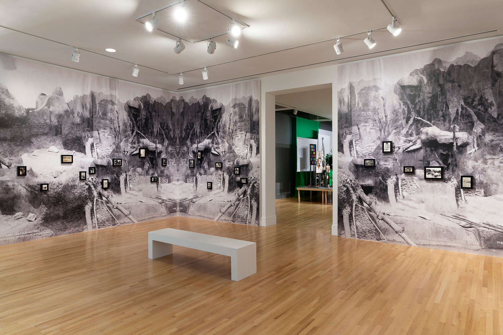 Photo of a gallery with small images in frames on a wall covered in old black and white photos of a landscape