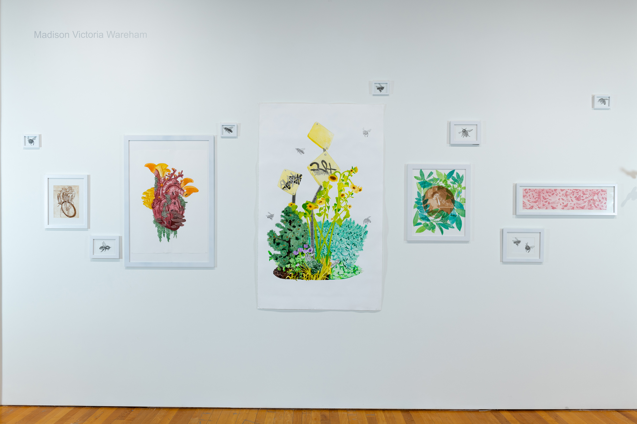 Installation photograph of Maddi Wareham's "What Grows in Your Garden" show with 12 prints on a white wall