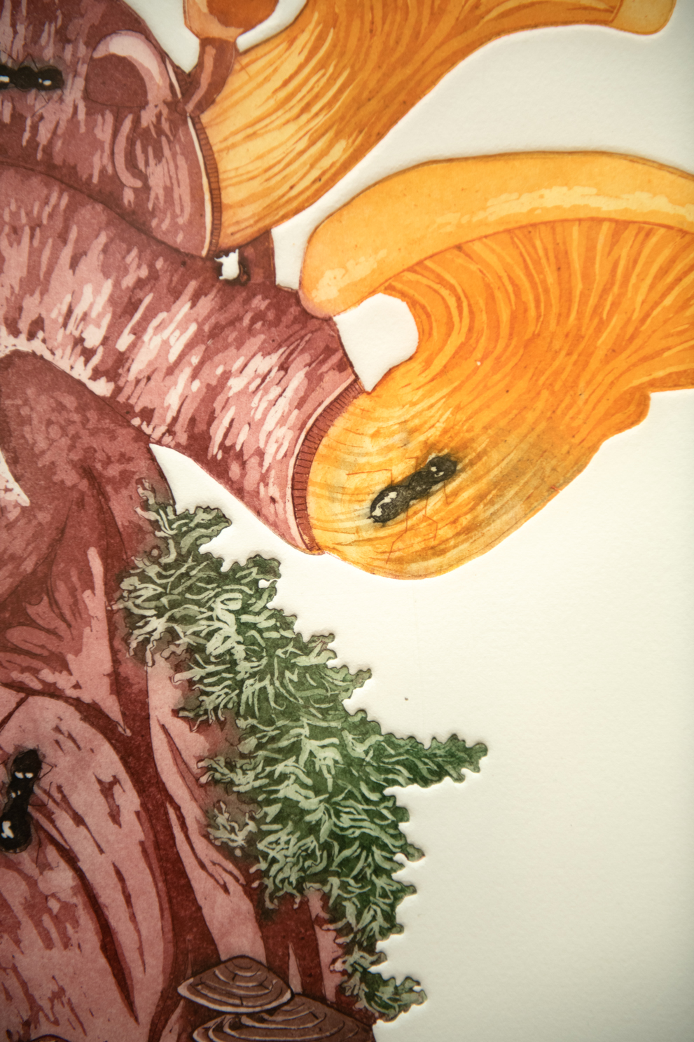 Detail image of a print with an anatomical heart with flora and fauna, including ants and mushrooms