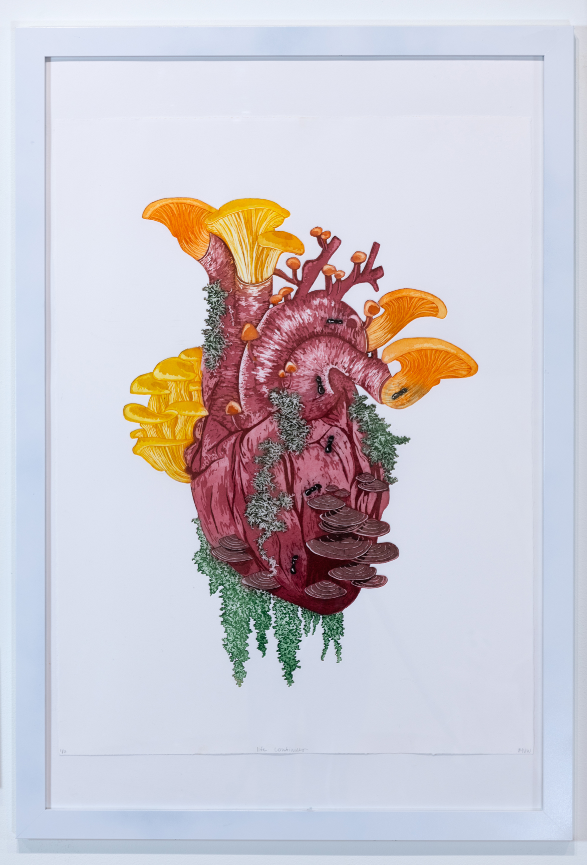 Intaglio print with an anatomical heart with flora and fauna, including ants and mushrooms
