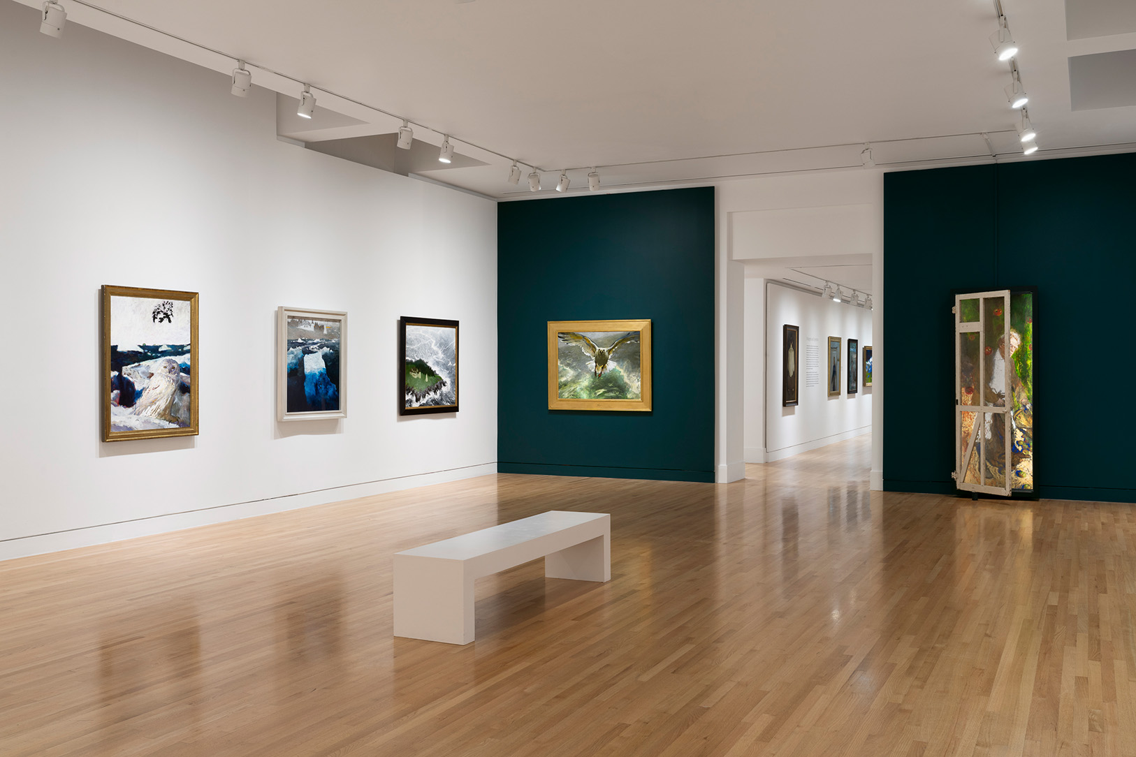 A series of paintings of birds and coastal landscapes in a gallery space