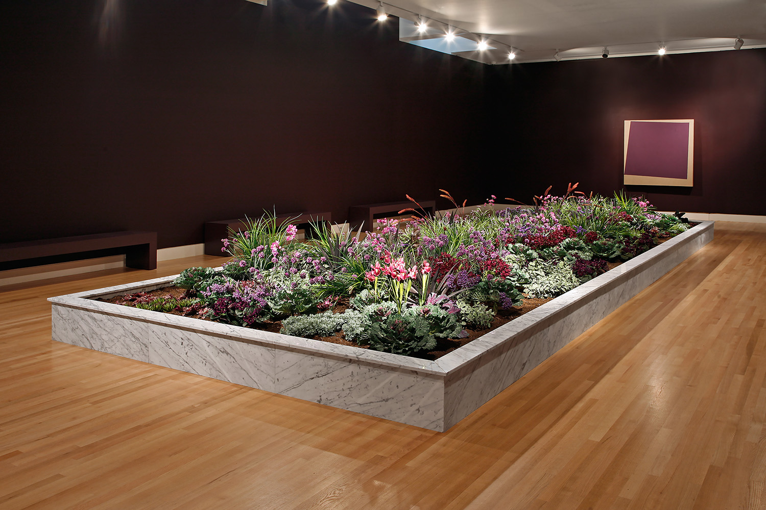 Young Blood Installation at the Frye Art Museum
