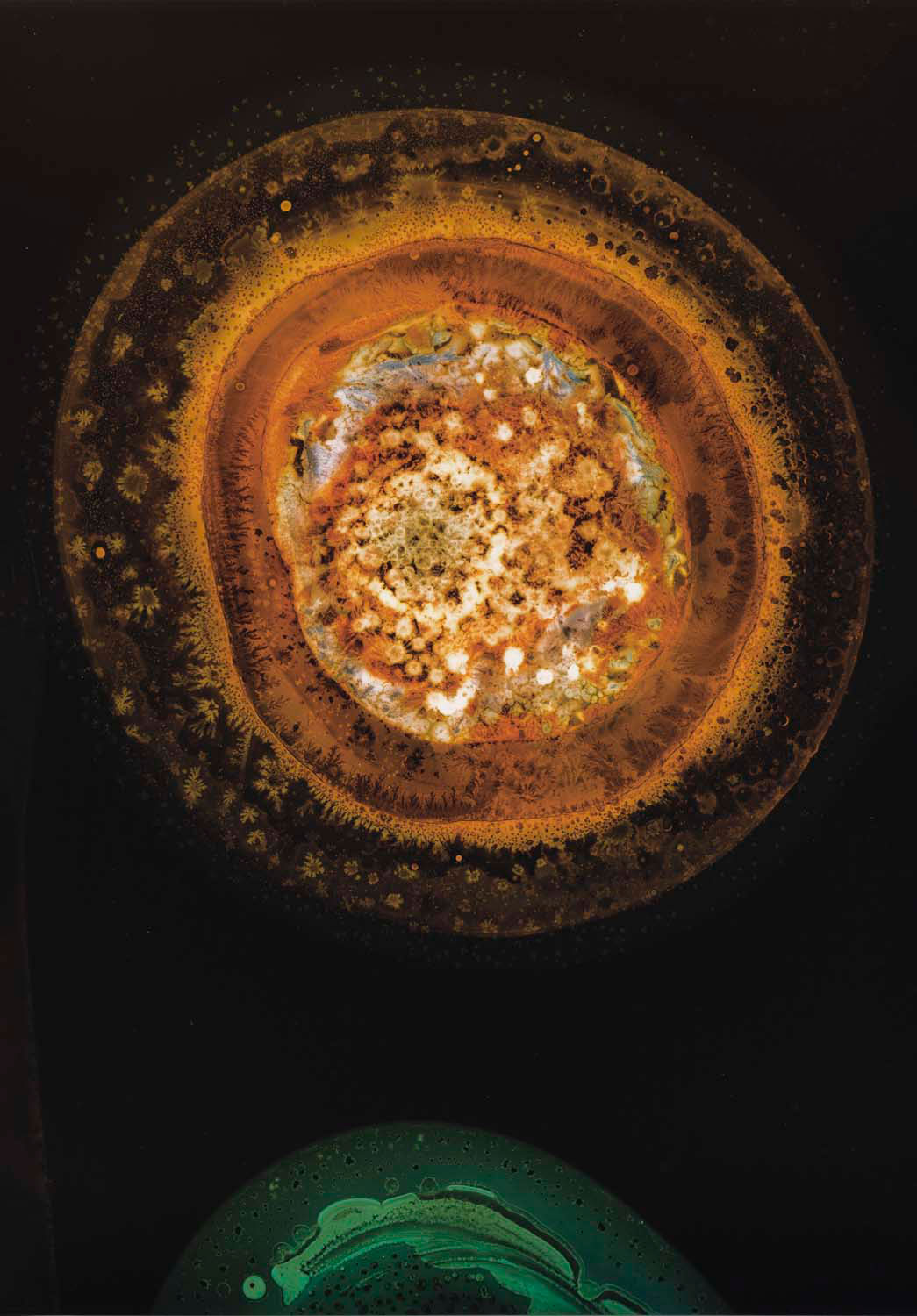 Kelly Akashi. Formation, 2021. Chromogenic crystallograph in aluminum artist's frame. 31 3/4 x 22 1/2 x 1 3/4 in. Frye Art Museum, Museum Purchase, 2022.002. Photo: Jueqian Fang