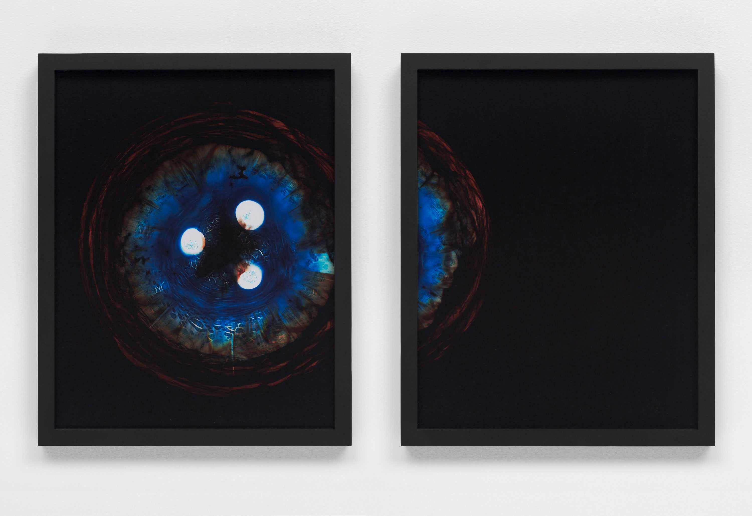 Kelly Akashi, Glass Study (Image 5), 2014. Chromogenic photogram, Two parts, 14 × 11 in. each. Courtesy of the artist, Tanya Bonakdar Gallery and Francois Ghebaly