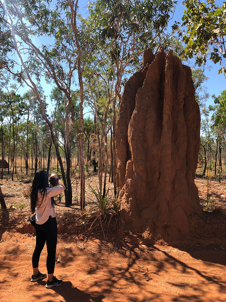 A person standing next to a tall mound of dirt created by termites