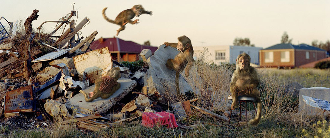 A photograph of realistic sculptural monkey-like figures arranged in a pile of rubble