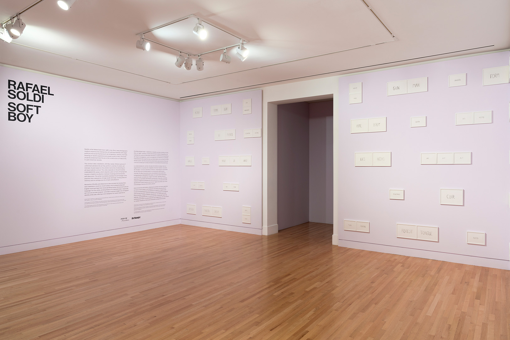 Installation view of Rafael Soldi: Soft Boy, Frye Art Museum, Seattle, October 7, 2023–January 7, 2024