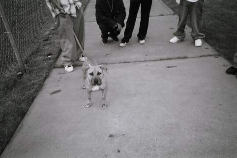 A black and white photo of a dog on a leash on a sidewalk in front of people's legs