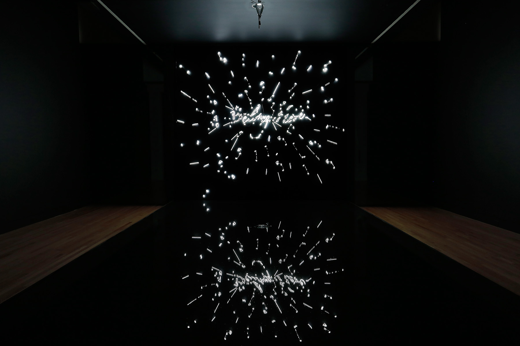 Tavares Strachan. Installation view of I Belong Here, 2011.