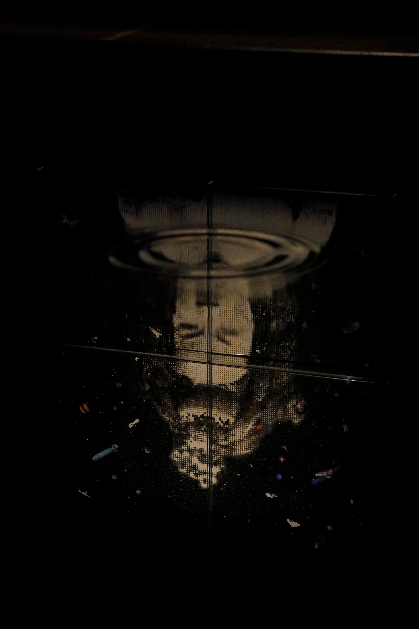 Tavares Strachan. Installation view of Queen Min (from the Constellation series) (detail)