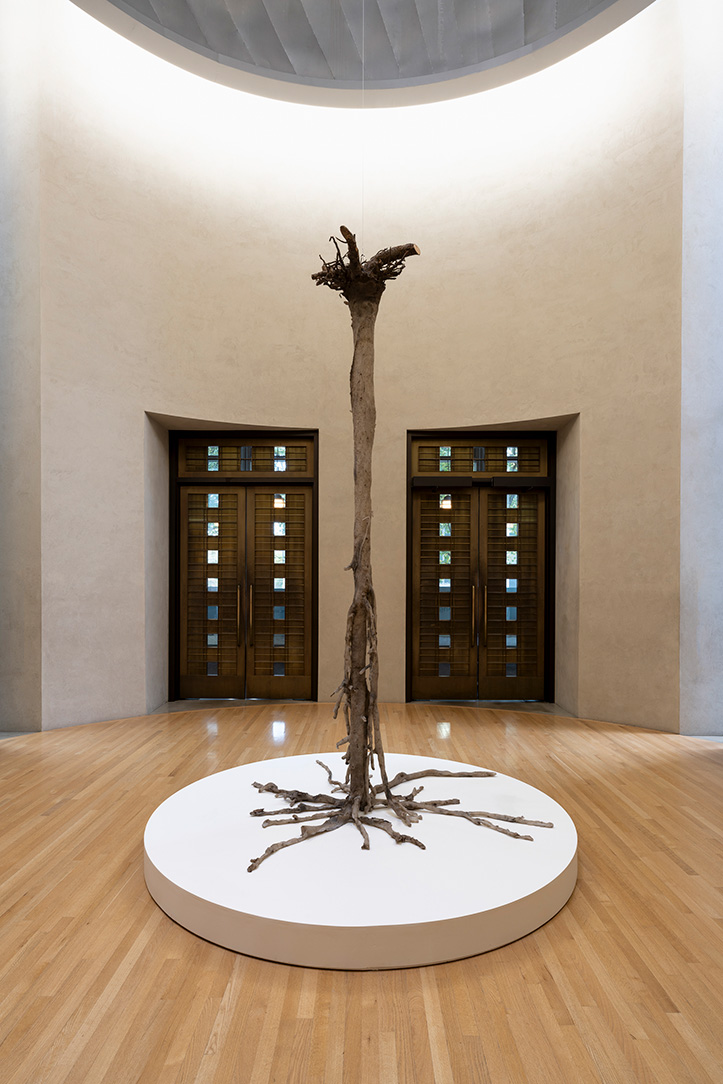 Clarissa Tossin. Rising Temperature Casualty (Prunus persica, home garden, Los Angeles), 2022. Silicone, black pigment, tree roots. 126 x 48 x 58 in. (approx). Frye Art Museum