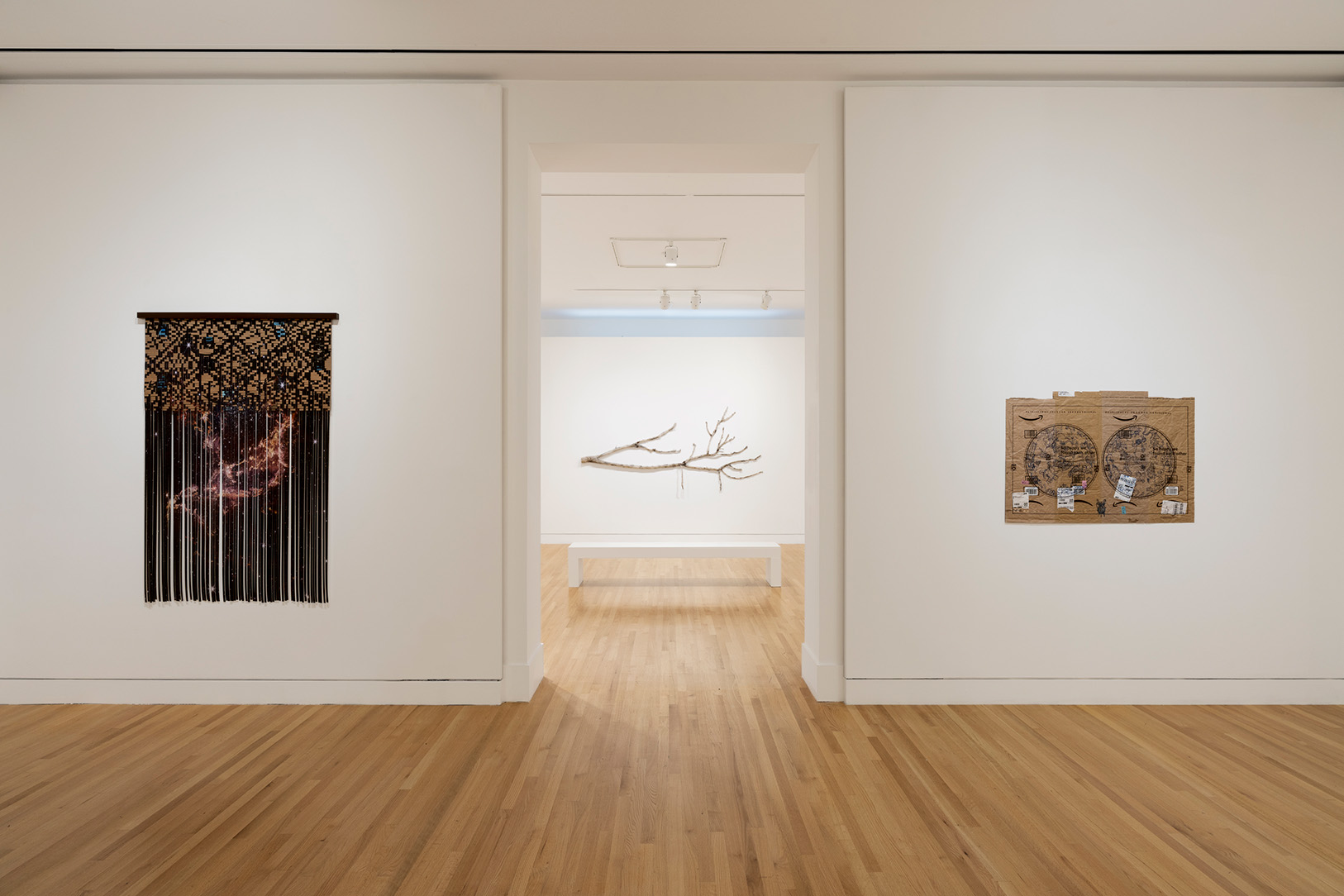 Installation view of Clarissa Tossin: to take root among the stars, Frye Art Museum, Seattle, October 7, 2023–January 7, 2024