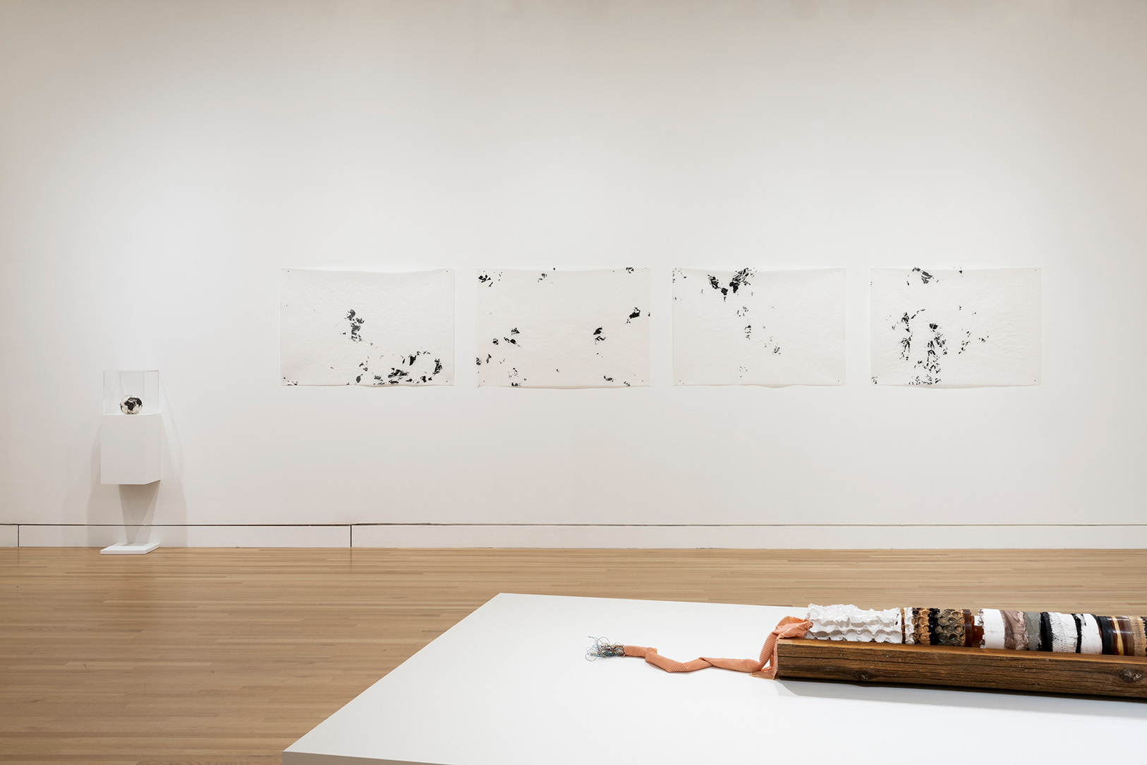Clarissa Tossin. Unmapping the World, 2011, in front of Future Fossil, 2018