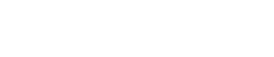 International Examiner logo